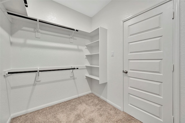 walk in closet featuring light colored carpet