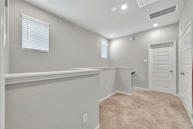 spacious closet with light carpet