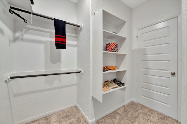 spacious closet with light colored carpet