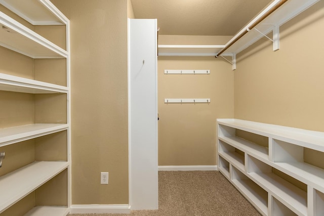 spacious closet with light colored carpet