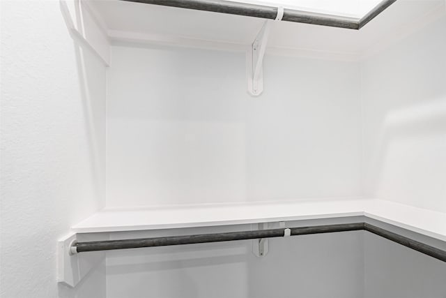 8211 Gladstone St, Houston, TX 77051 - view of walk in closet