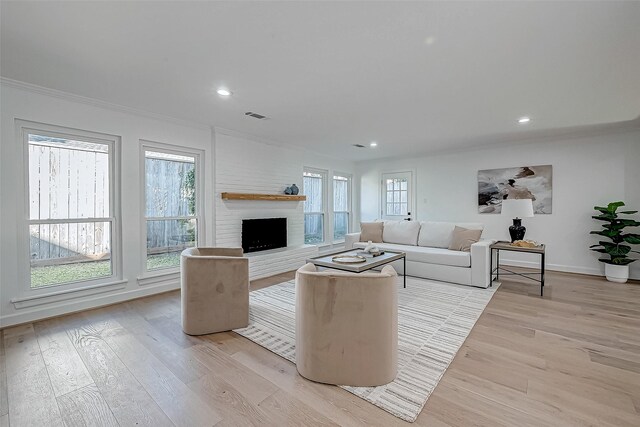 living room with a fireplace, light hardwood / wood-style floors, and ornamental molding