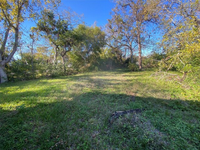 4329 Bond St, Houston, TX 77026 - photo 14