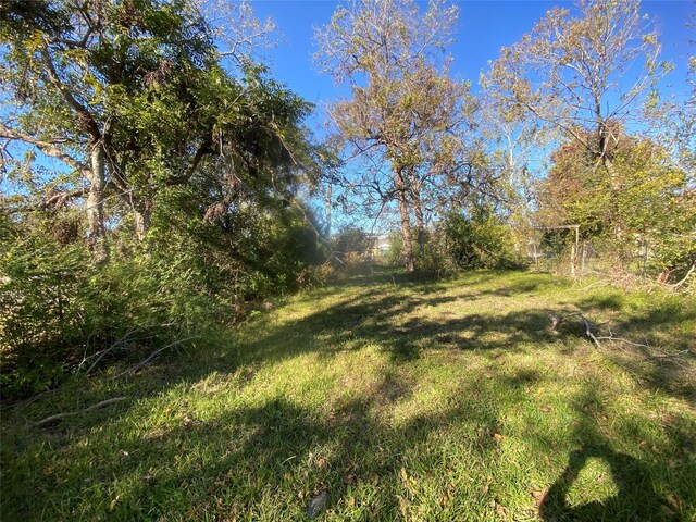 4329 Bond St, Houston, TX 77026 - photo 15