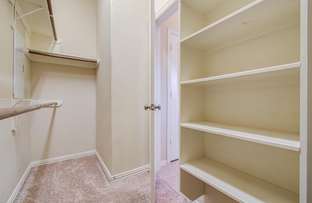 spacious closet featuring light colored carpet