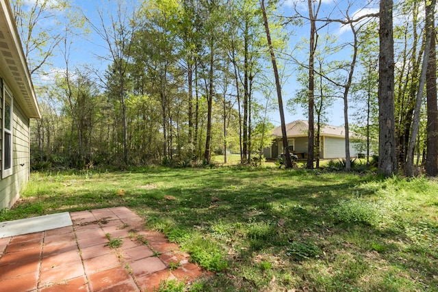 view of yard featuring a patio