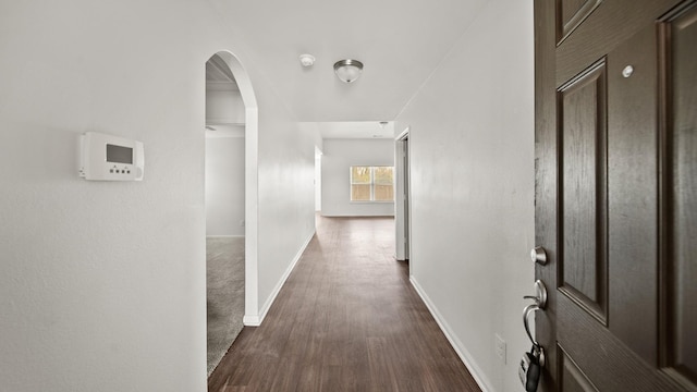 corridor featuring dark hardwood / wood-style flooring