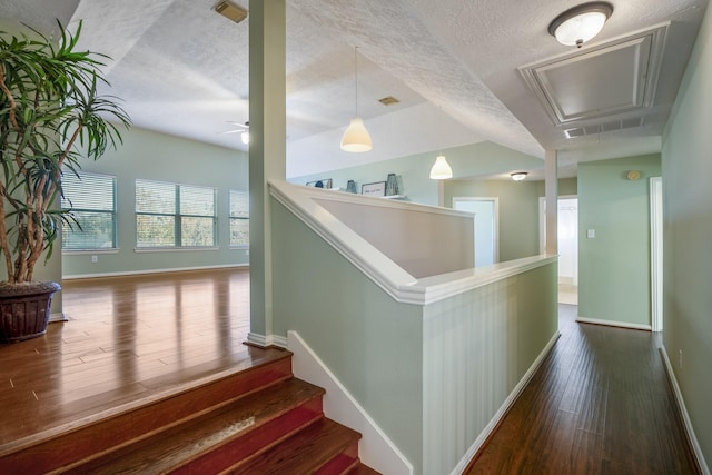 hallway featuring dark hardwood / wood-style flooring and a textured ceiling