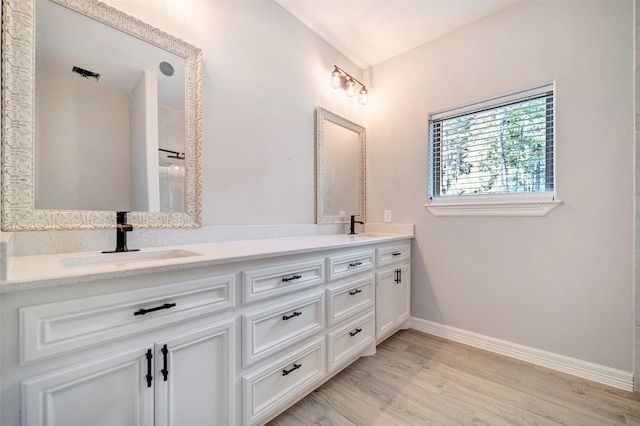 bathroom with wood-type flooring and vanity