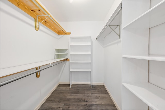 walk in closet with dark wood-type flooring