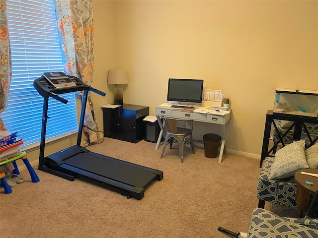 exercise area featuring light carpet