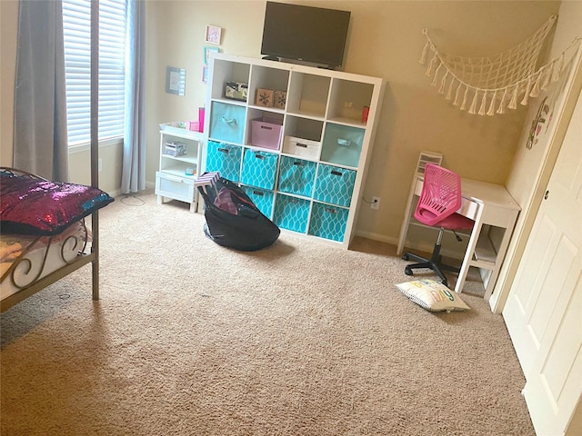 recreation room featuring carpet floors