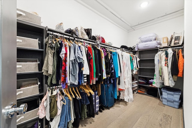 spacious closet featuring light hardwood / wood-style flooring