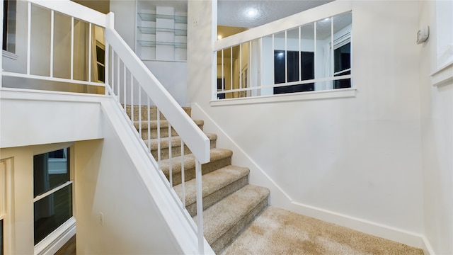 staircase with carpet