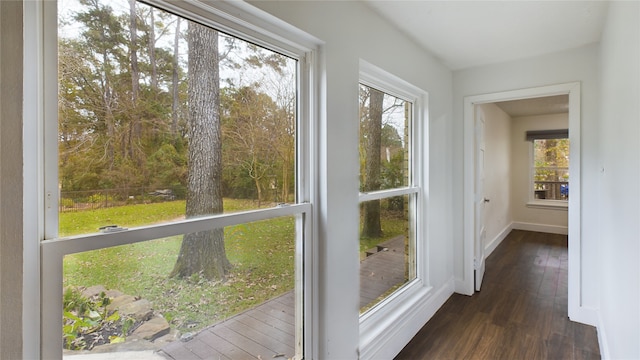 doorway to outside with dark wood-type flooring