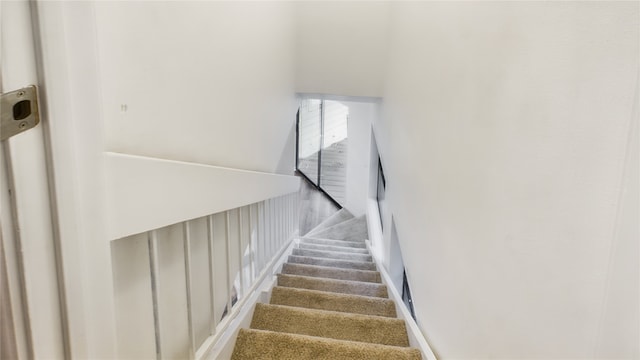 staircase featuring carpet floors