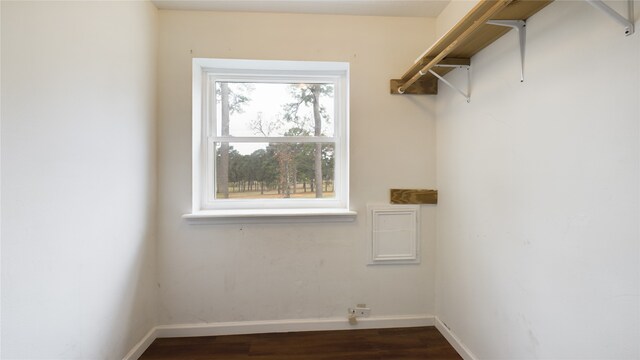spacious closet featuring dark wood-style floors