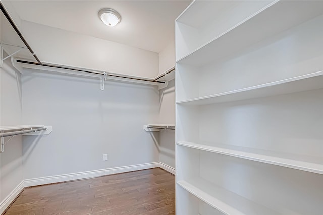 walk in closet with wood-type flooring