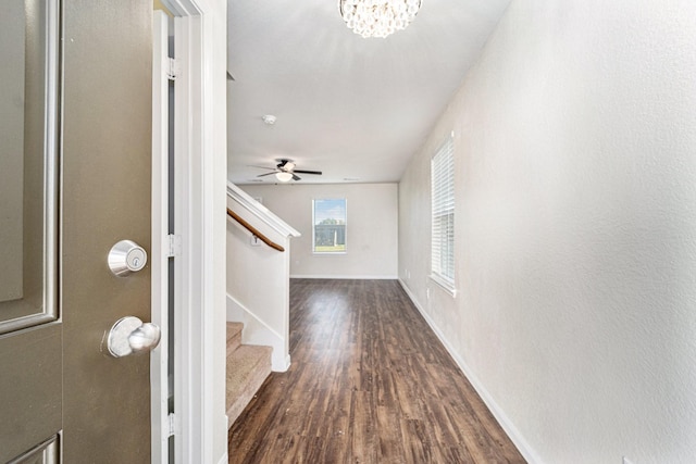 entryway with ceiling fan with notable chandelier and dark hardwood / wood-style floors