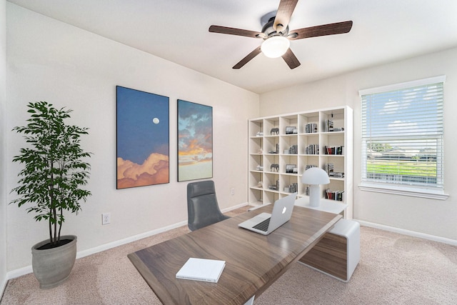 office space featuring carpet and ceiling fan