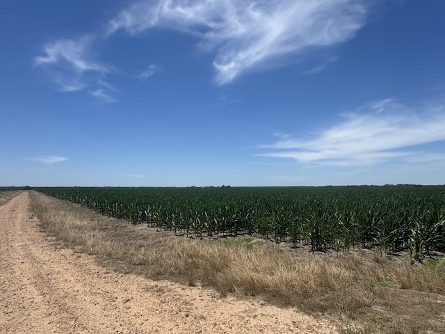 TBD Cr 335 Road, Louise, TX 77455