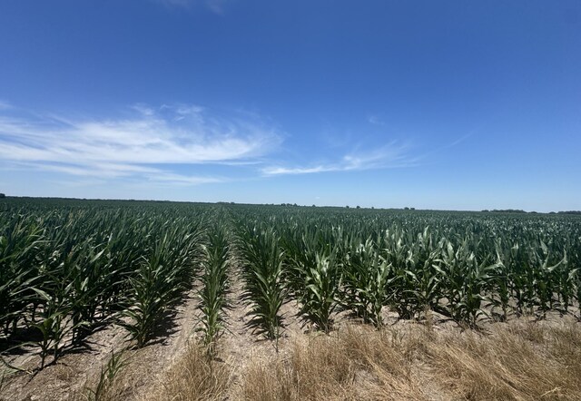 TBD Cr 335 Road, Louise, TX 77455