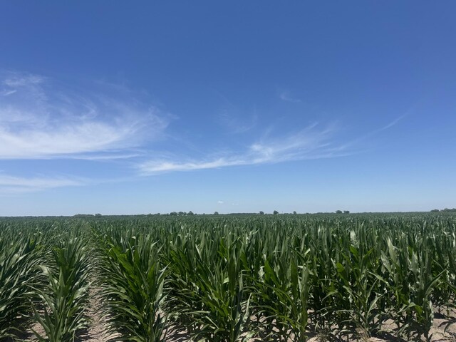 TBD Cr 335 Road, Louise, TX 77455