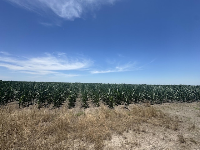 TBD Cr 335 Road, Louise, TX 77455