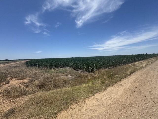 TBD Cr 335 Road, Louise, TX 77455
