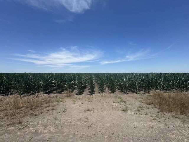 TBD Cr 335 Road, Louise, TX 77455