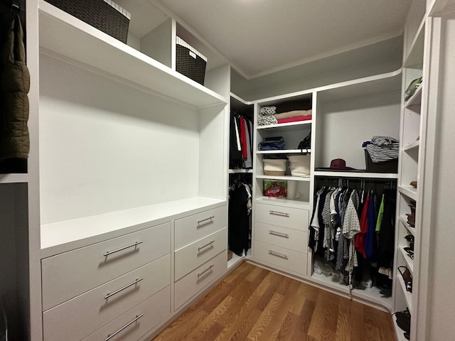 spacious closet with hardwood / wood-style floors