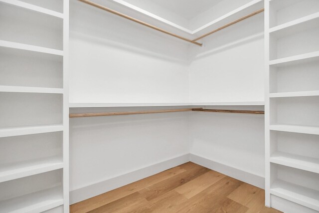 walk in closet featuring wood-type flooring