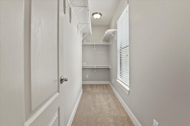 spacious closet featuring light carpet