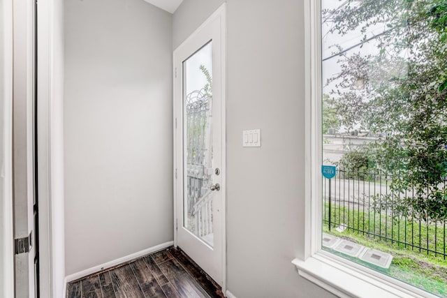 doorway to outside featuring dark wood-type flooring