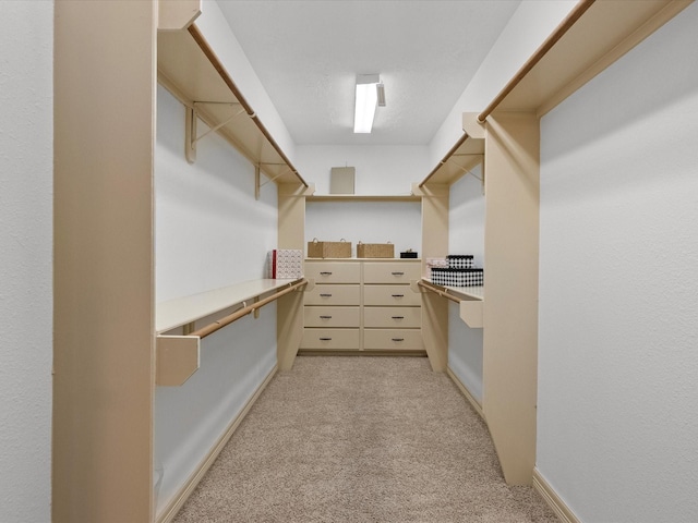 walk in closet with light carpet