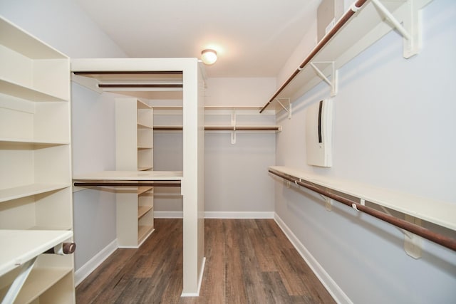 walk in closet with dark wood-type flooring