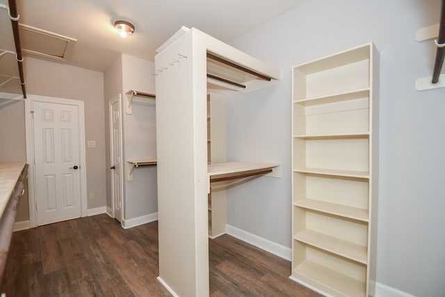 spacious closet with dark wood-type flooring