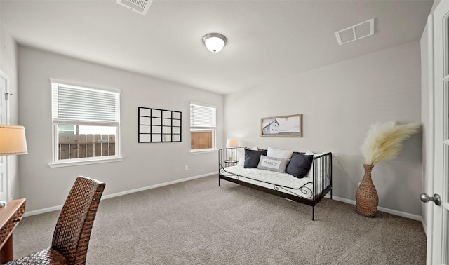 sitting room with carpet flooring