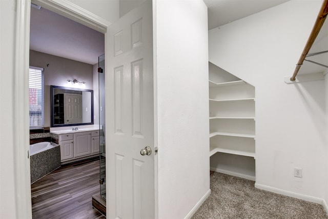 walk in closet featuring hardwood / wood-style floors and sink