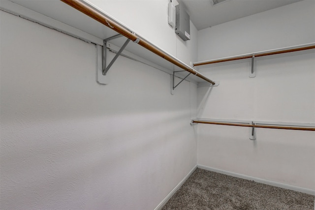 walk in closet featuring carpet flooring