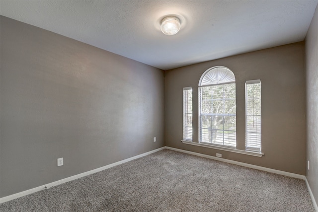 unfurnished room with carpet floors and a textured ceiling