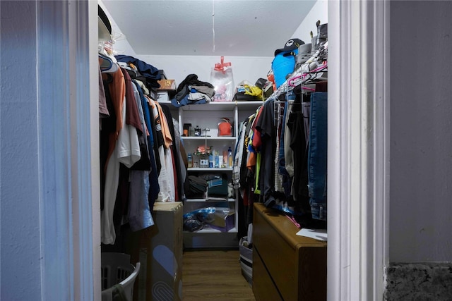 walk in closet featuring wood-type flooring