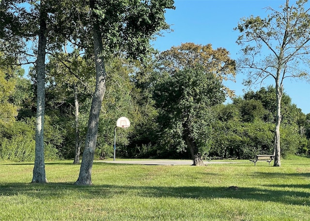 exterior space featuring a yard and basketball hoop