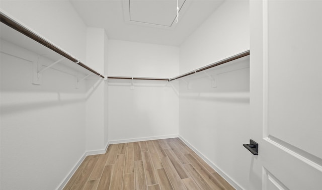 spacious closet with light hardwood / wood-style flooring