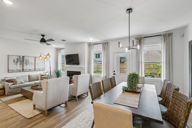 dining room with ceiling fan with notable chandelier and light wood-type flooring