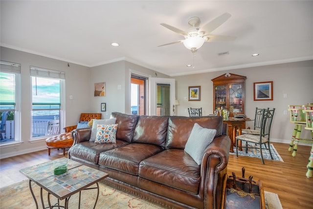 living room with ceiling fan, light hardwood / wood-style floors, and ornamental molding