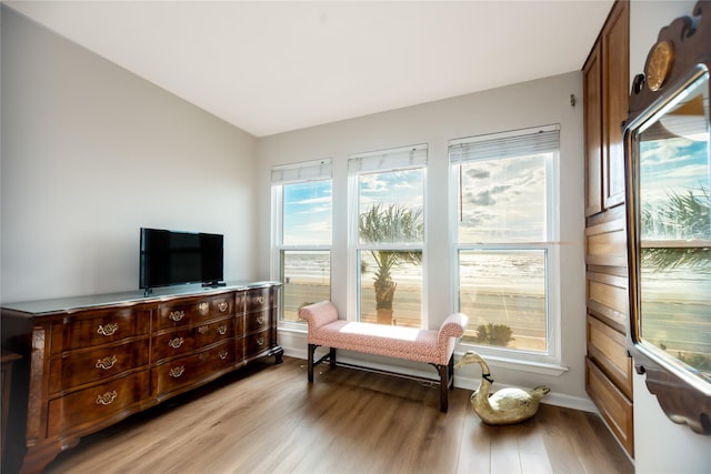 living area with light hardwood / wood-style flooring