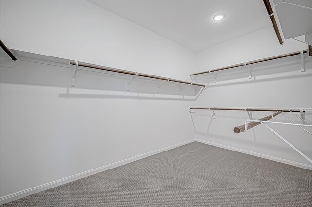 451 Papershell Path, Richmond, TX 77406 - spacious closet with carpet flooring