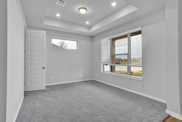 carpeted spare room featuring a raised ceiling