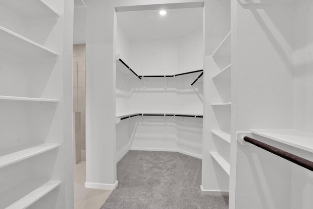 spacious closet featuring light colored carpet